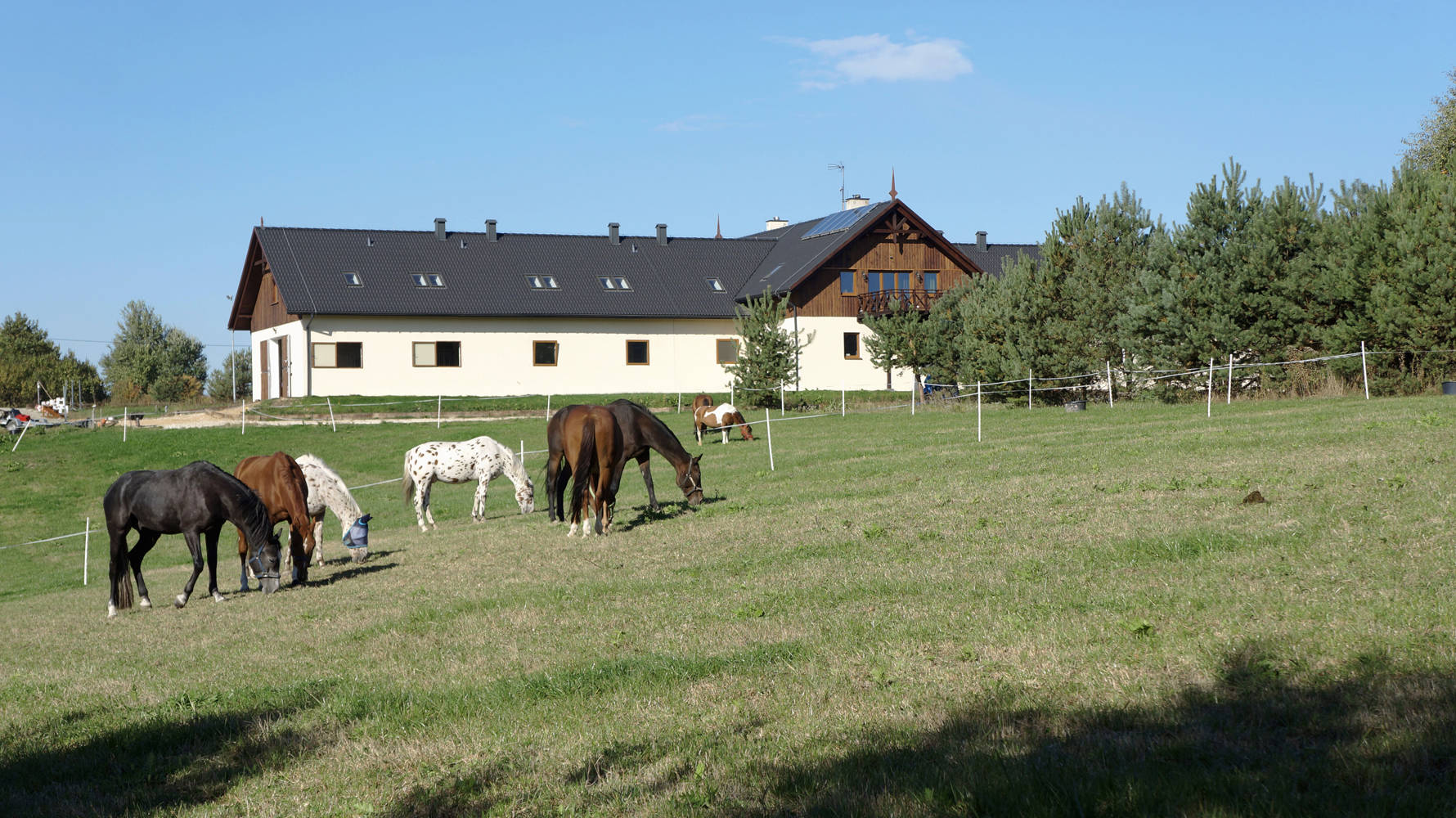 stadnina-koni-rafa-projekt-krak-w